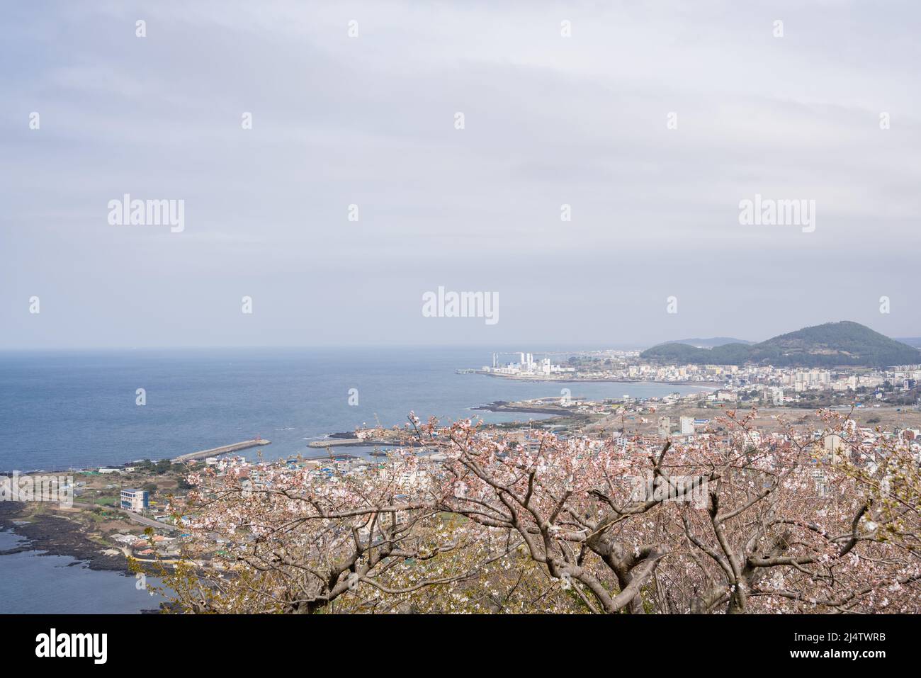 Vista panoramica della città di Jeju con fiori di ciliegio da Byeoldobong Oreum nell'isola di Jeju, Corea Foto Stock