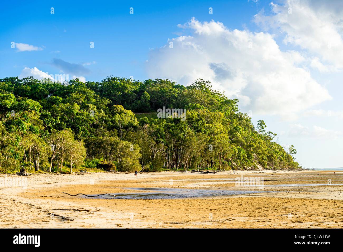 Kingfisher Bay sulla costa occidentale dell'isola di Fraser. Queensland, Australia. Foto Stock