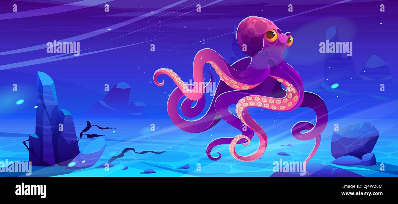 I polpi giganti nuotano sotto l'acqua nell'oceano. Illustrazione vettoriale di cartoni animati del paesaggio marino subacqueo con animali marini con tentacoli e ventose. Fondo oceano con alghe, pietre e calamari viola Illustrazione Vettoriale I polpi giganti nuotano sotto l'acqua nell'oceano. Illustrazione vettoriale di cartoni animati del paesaggio marino subacqueo con animali marini con tentacoli e ventose. Fondo oceano con alghe, pietre e calamari viola Illustrazione Vettoriale