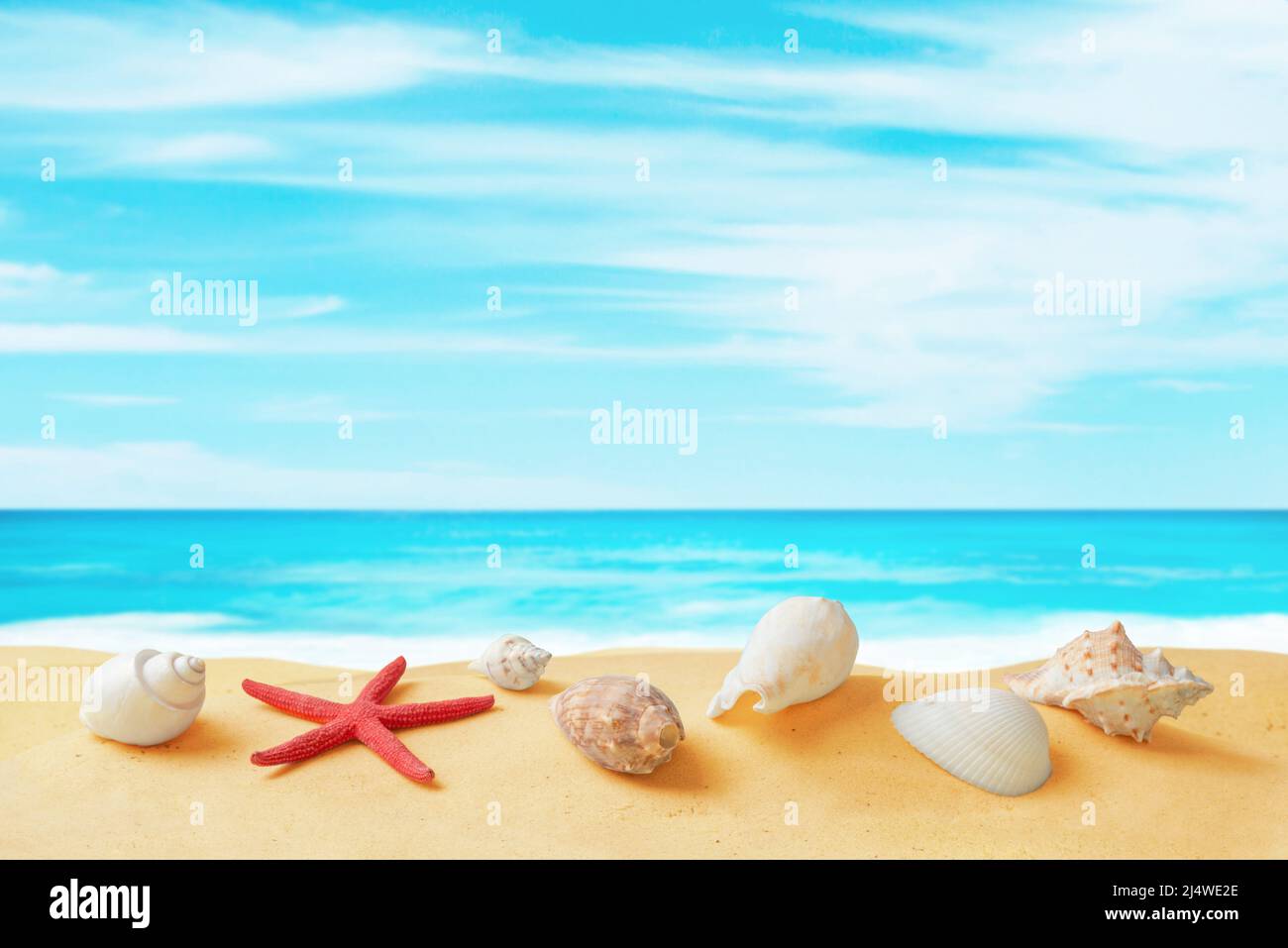 Conchiglie e stella del mare sulla spiaggia di sabbia con mare pulito e cielo sullo sfondo. Composizione tropicale da viaggio con spazio per la copia Foto Stock