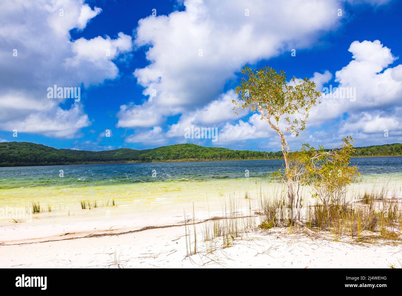 Il lago Birabeen offre ai turisti acque cristalline e sabbia bianca e soffice su Fraser Island, Queensland, Australia Foto Stock