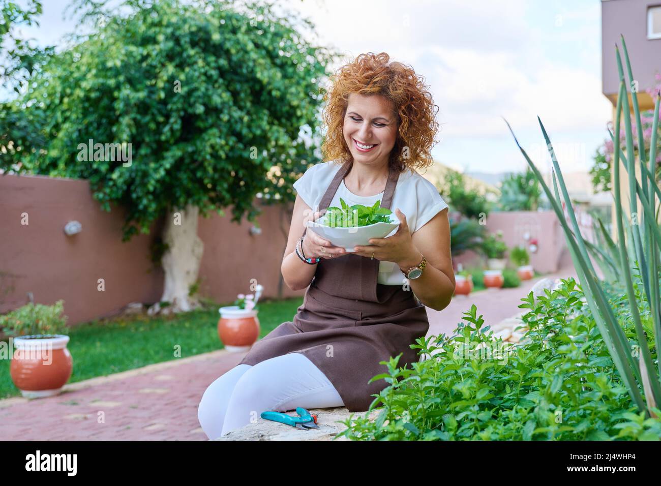 Donna di mezza età in giardino che raccoglie erbe di menta per cibo e bevande. Foto Stock