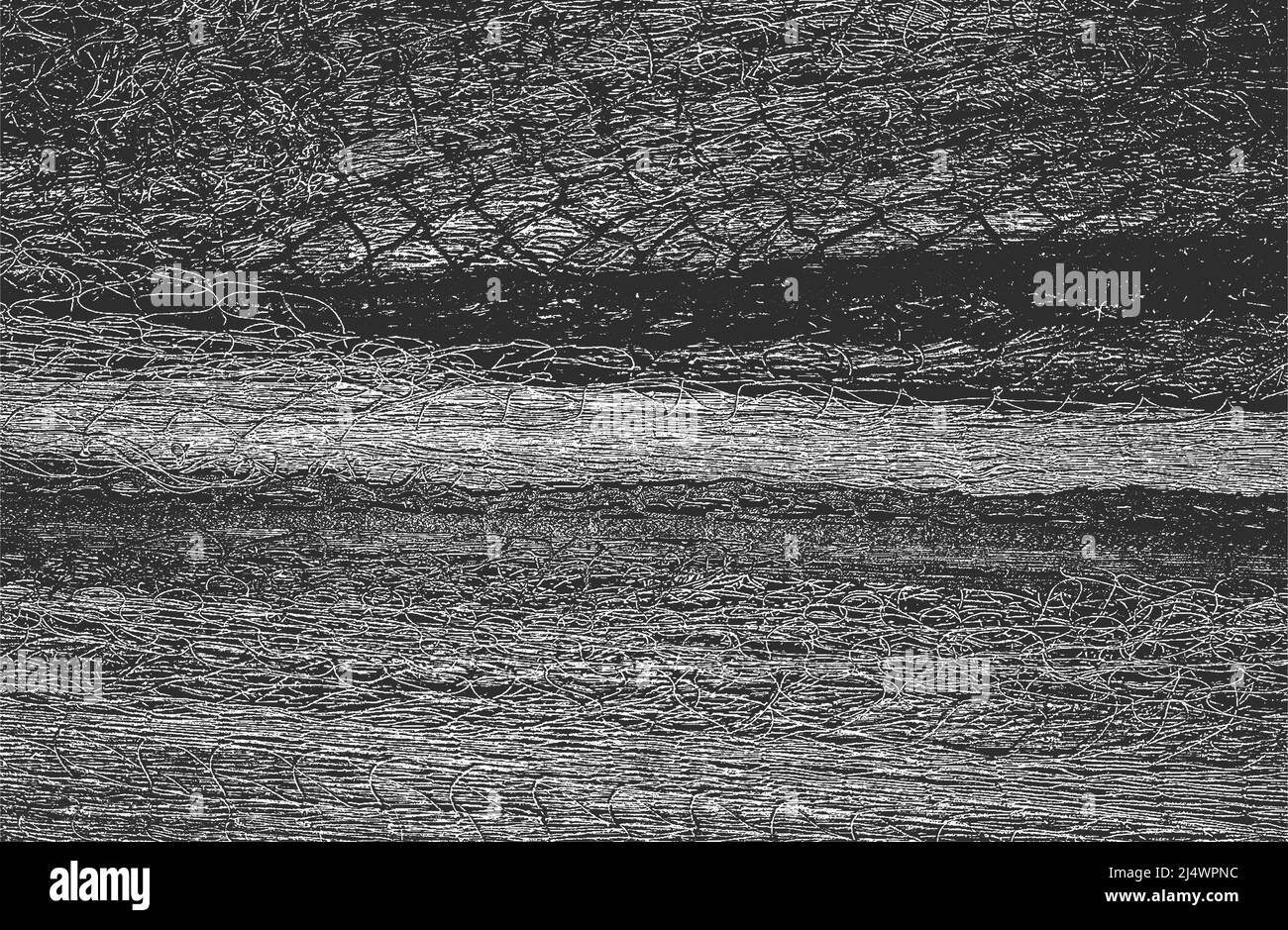Trama stressata di corda intrecciata, rete da pesca, rete tessile. Sfondo grunge. Illustrazione vettoriale astratta di mezzitoni Illustrazione Vettoriale