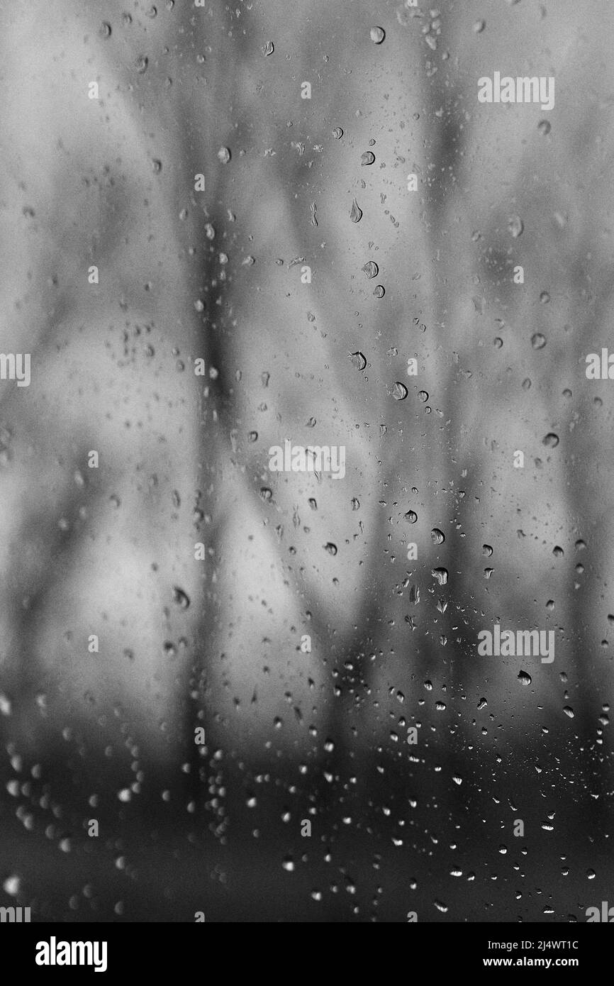Gocce di pioggia sul vetro della finestra con sfondo sfocato in bianco e nero Foto Stock