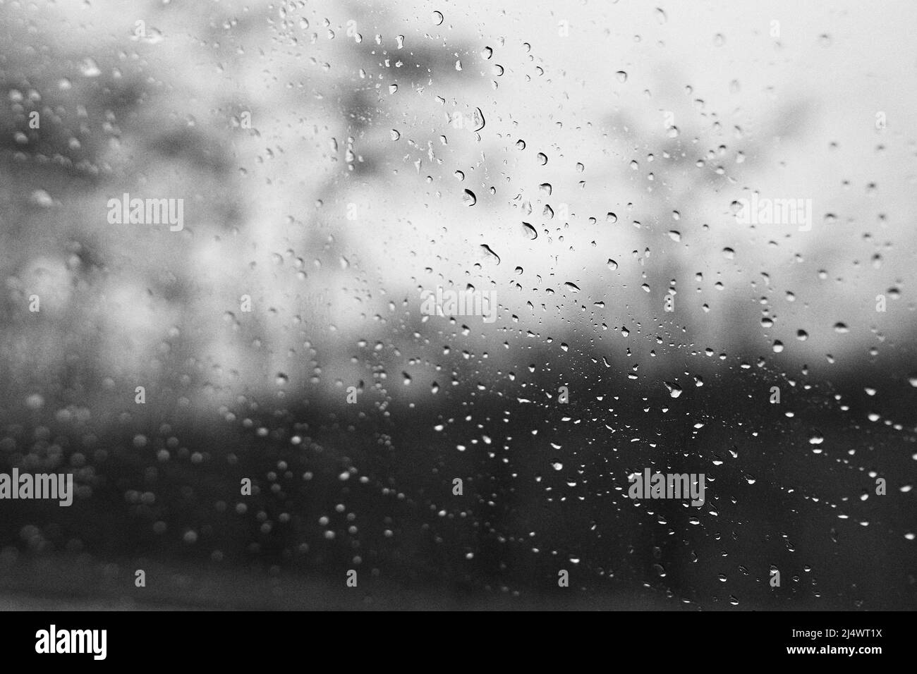 Gocce di pioggia sul vetro della finestra con sfondo sfocato in bianco e nero Foto Stock