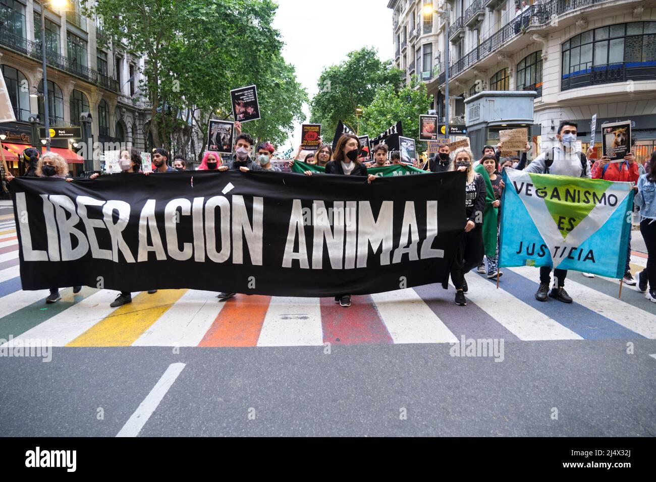 Buenos Aires, Argentina; 1 novembre 2021: Giornata mondiale del Vegan. Persone che marciano con striscioni: La liberazione degli animali. Il veganismo è giustizia. Foto Stock