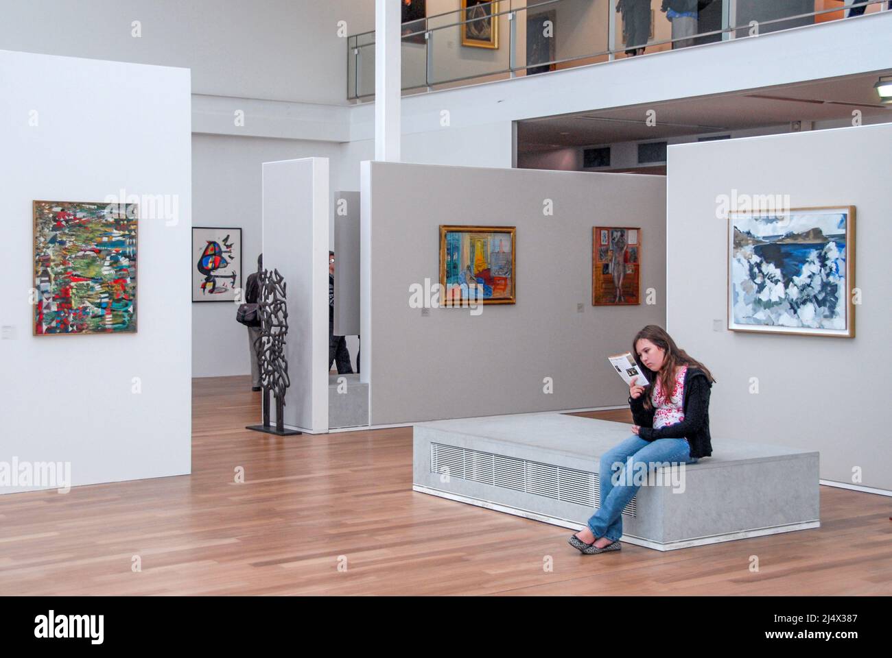 All'interno del Musée Malraux, una galleria di spicco con impressionisti e altri dipinti importanti, le Havre, Francia Foto Stock