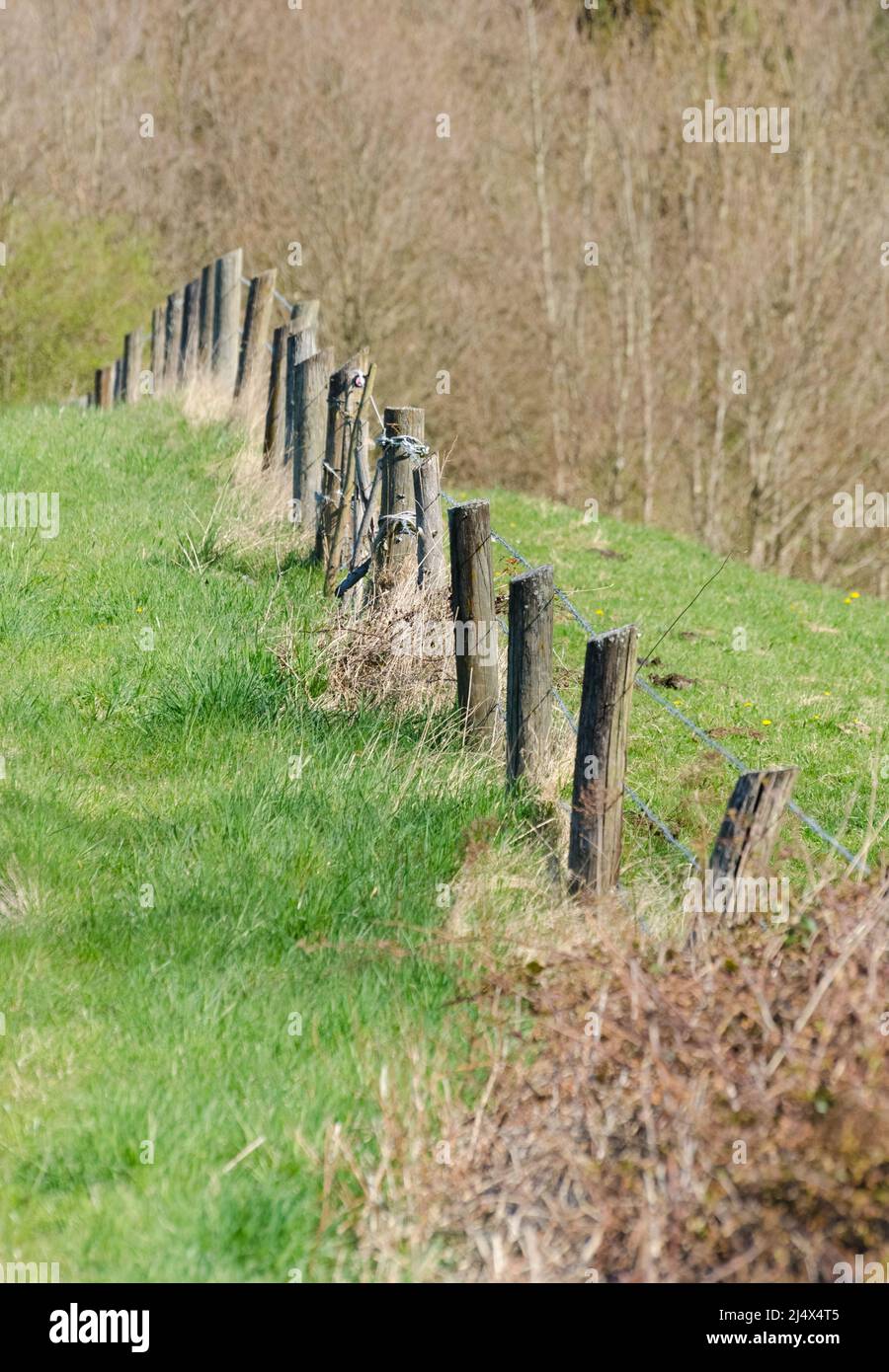 Recinzione di legno con molti pali in linea lungo un percorso della gricoltura nella campagna in Germania, Europa Foto Stock