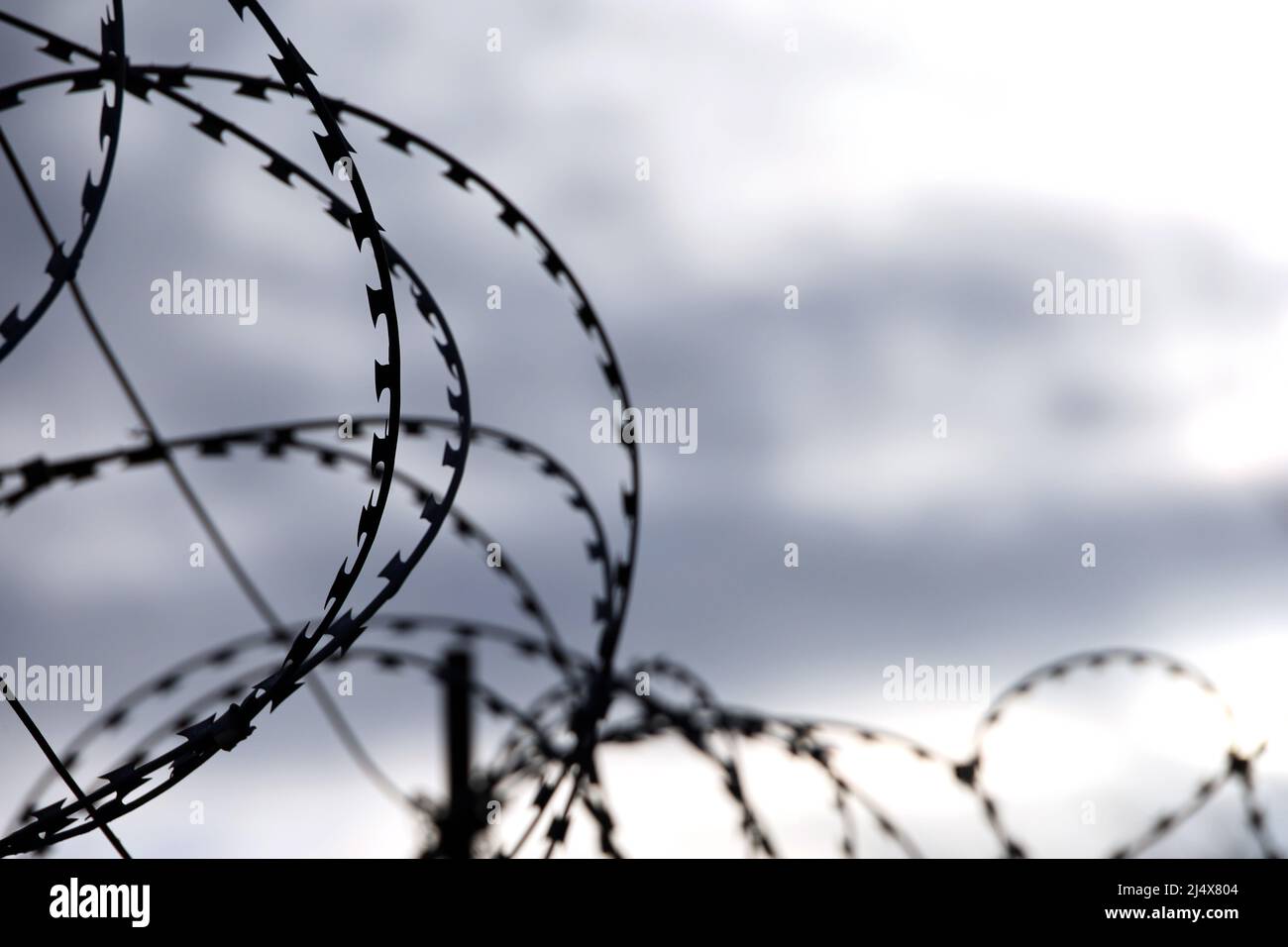 Filo spinato su sfondo di cielo drammatico con nuvole. Concetto di confine, prigione, guerra o immigrazione Foto Stock