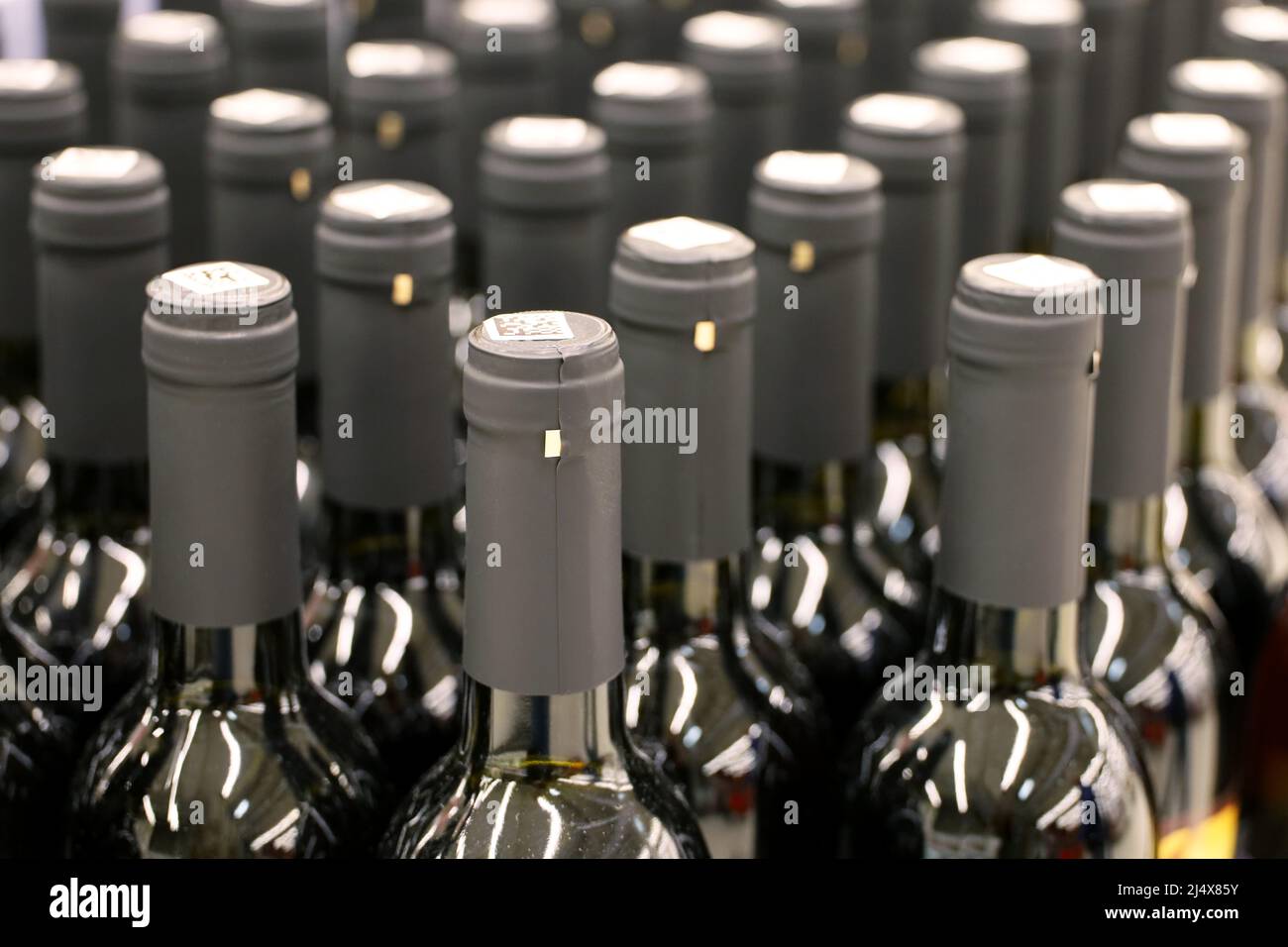 Bottiglie di vino rosso in fila, fuoco selettivo. Negozio di liquori, concetto di produzione di vino Foto Stock