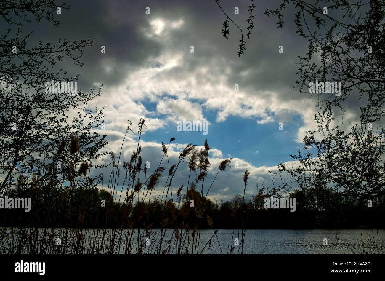 lago con canna e rami in un cielo grigio scuro nuvoloso con un luminoso punto blu chiaro al suo centro Foto Stock