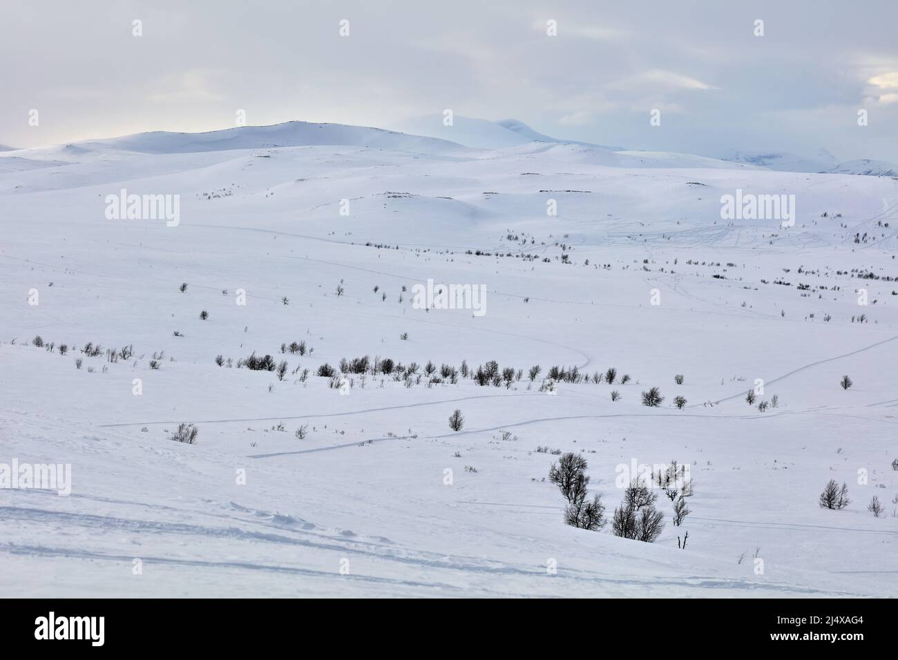 Vista sul parco nazionale di Pieljekaise in Svezia durante la fine dell'inverno Foto Stock