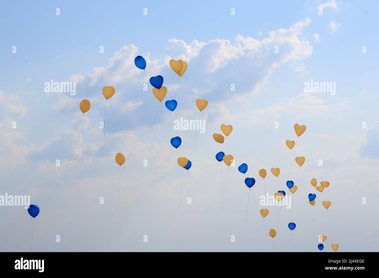 Luftballone in Ucraina Farben Blau gelb, steigen in den Himmel Foto Stock