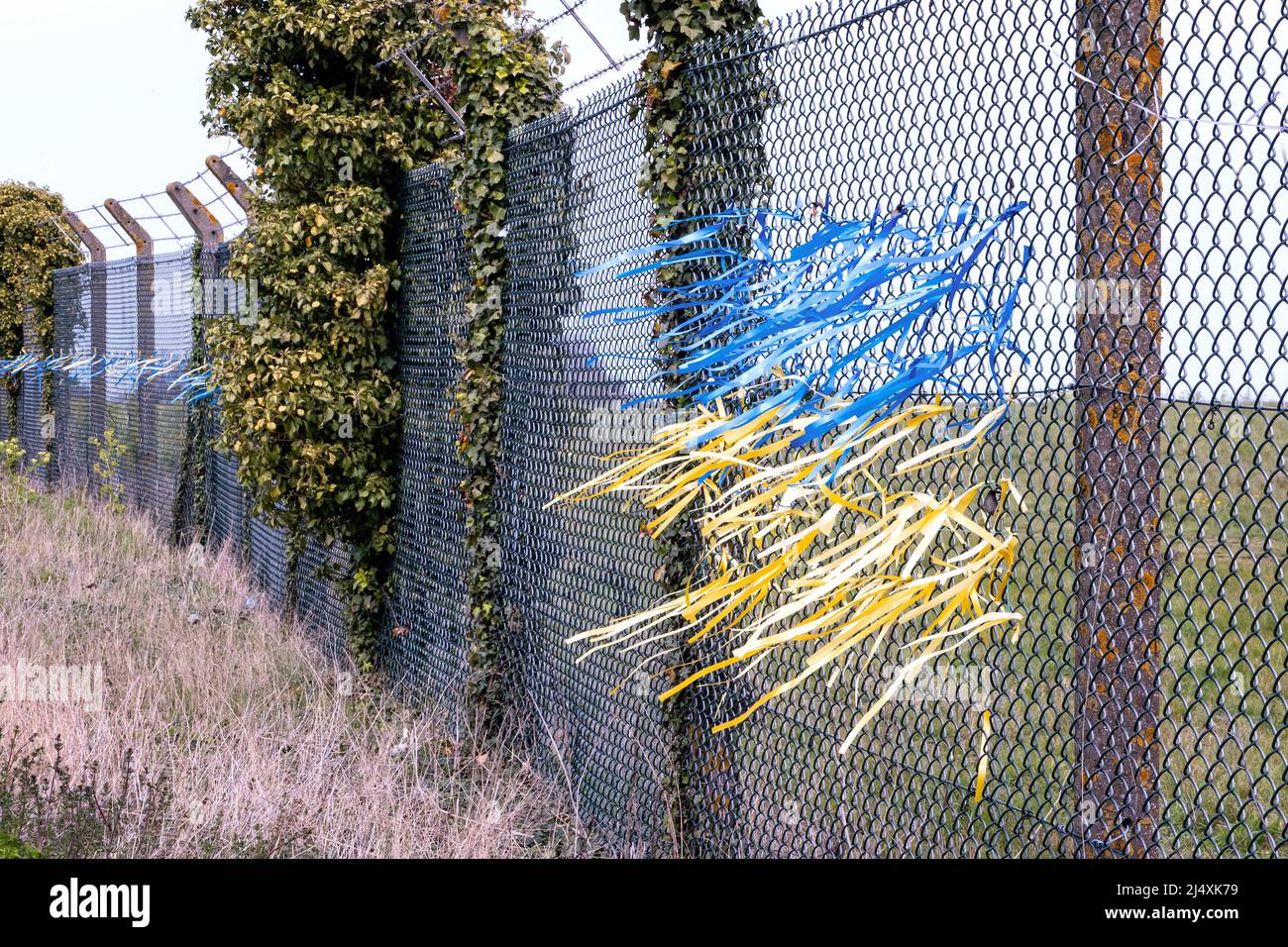 Nastri blu e giallo che fanno la bandiera Ucraina sulla recinzione perimetrale di Manston Airport Kent UK Foto Stock