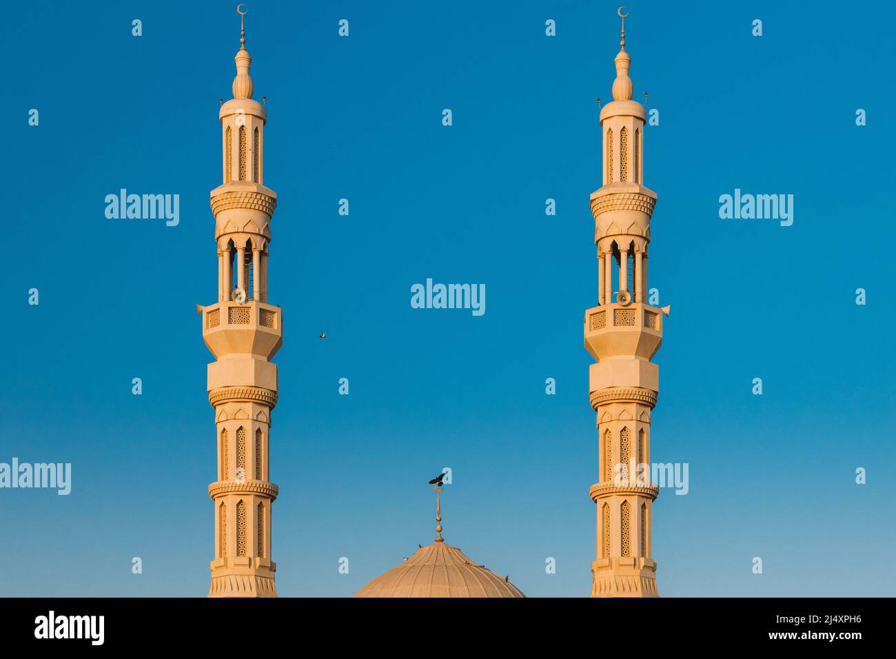 Al Remeila moschea a Ajman, Emirati Arabi Uniti. Dettagli primo piano Foto Stock