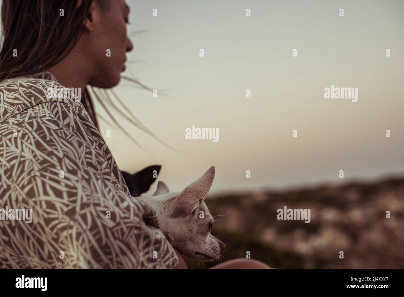 La persona si siede sopra l'oceano con due cani come i tramonti in Portogallo Foto Stock