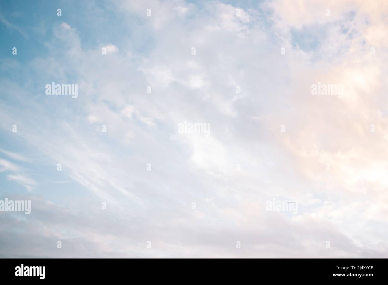 Nuvole di spiaggia blu e rosa eterea con un solo uccello in volo Foto Stock
