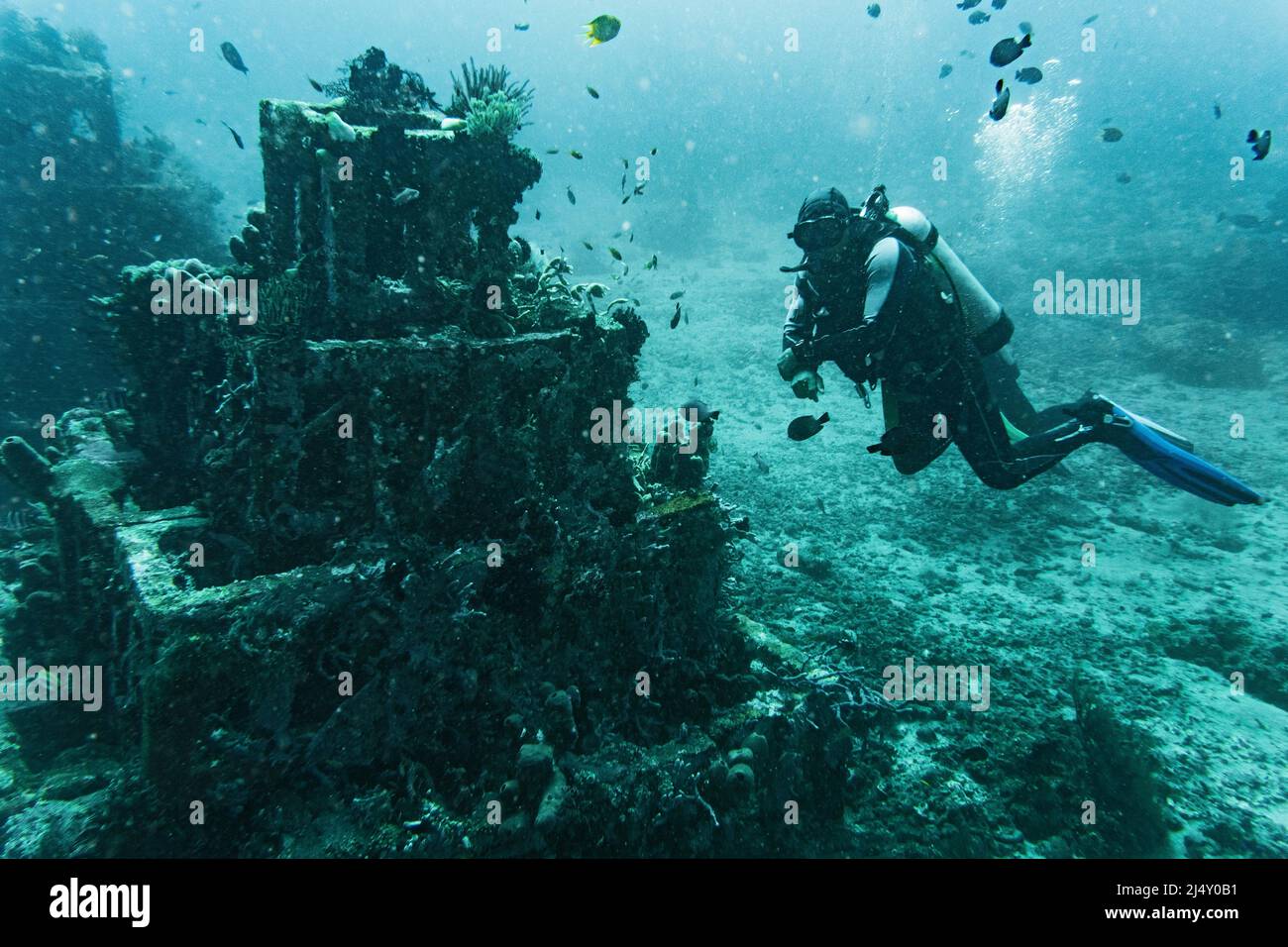 Subacqueo alla scoperta della struttura subacquea di Bali Foto Stock