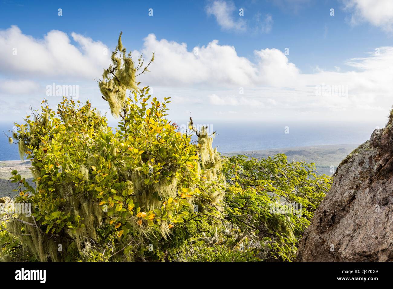 Vista dalla fitta foresta del Parco Nazionale di Christoffel al Mare dei Caraibi Foto Stock