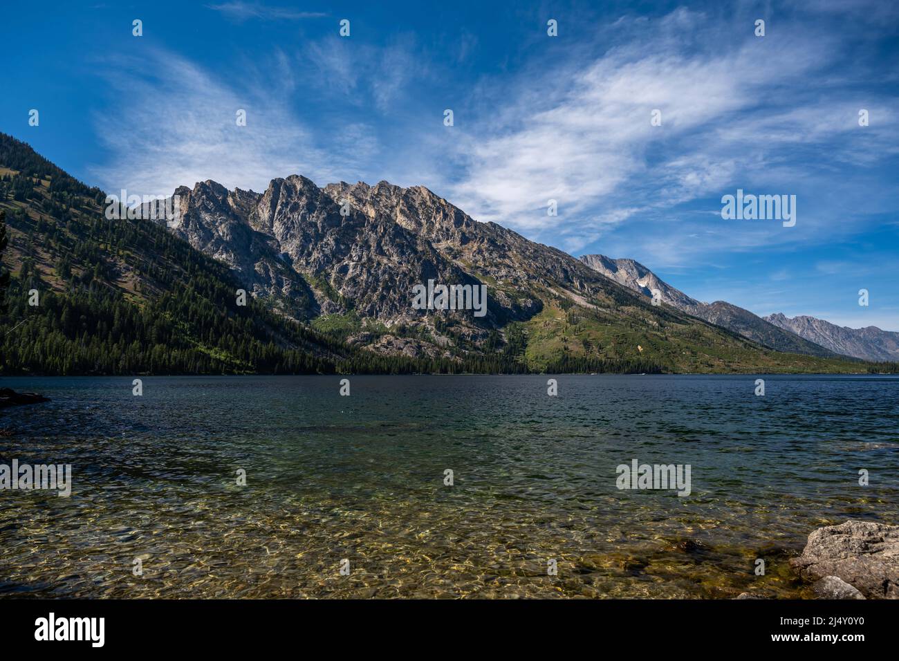 Il serpente fiume serpente nel Grand Teton National Park, Wyoming Foto Stock
