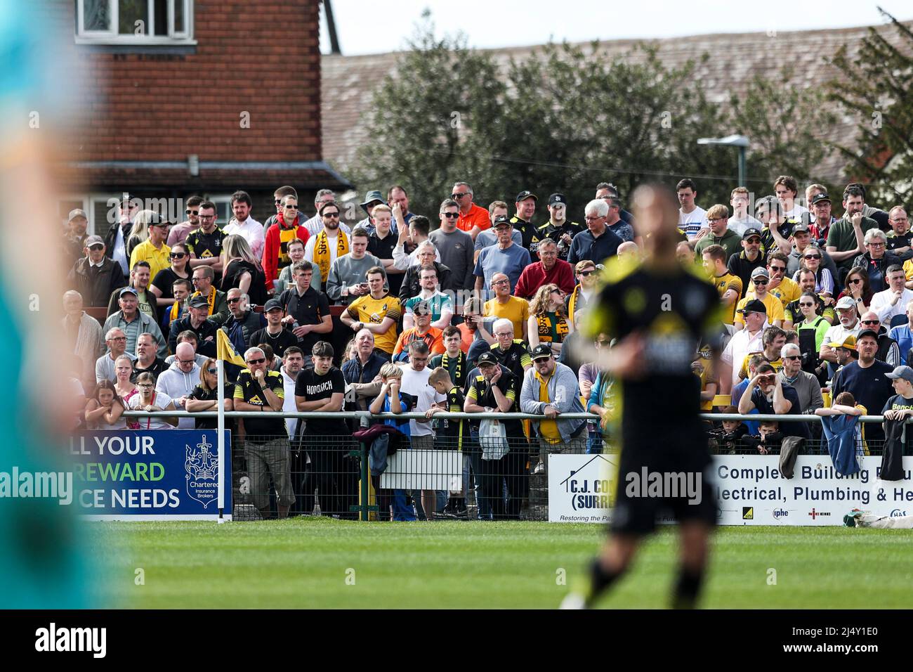 SUTTON, REGNO UNITO. APRILE 18th i tifosi guardano avanti durante la partita della Sky Bet League 2 tra Sutton United e Newport County al Knights Community Stadium, Gander Green Lane, Sutton lunedì 18th aprile 2022. (Credit: Tom West | MI News) Credit: MI News & Sport /Alamy Live News Foto Stock
