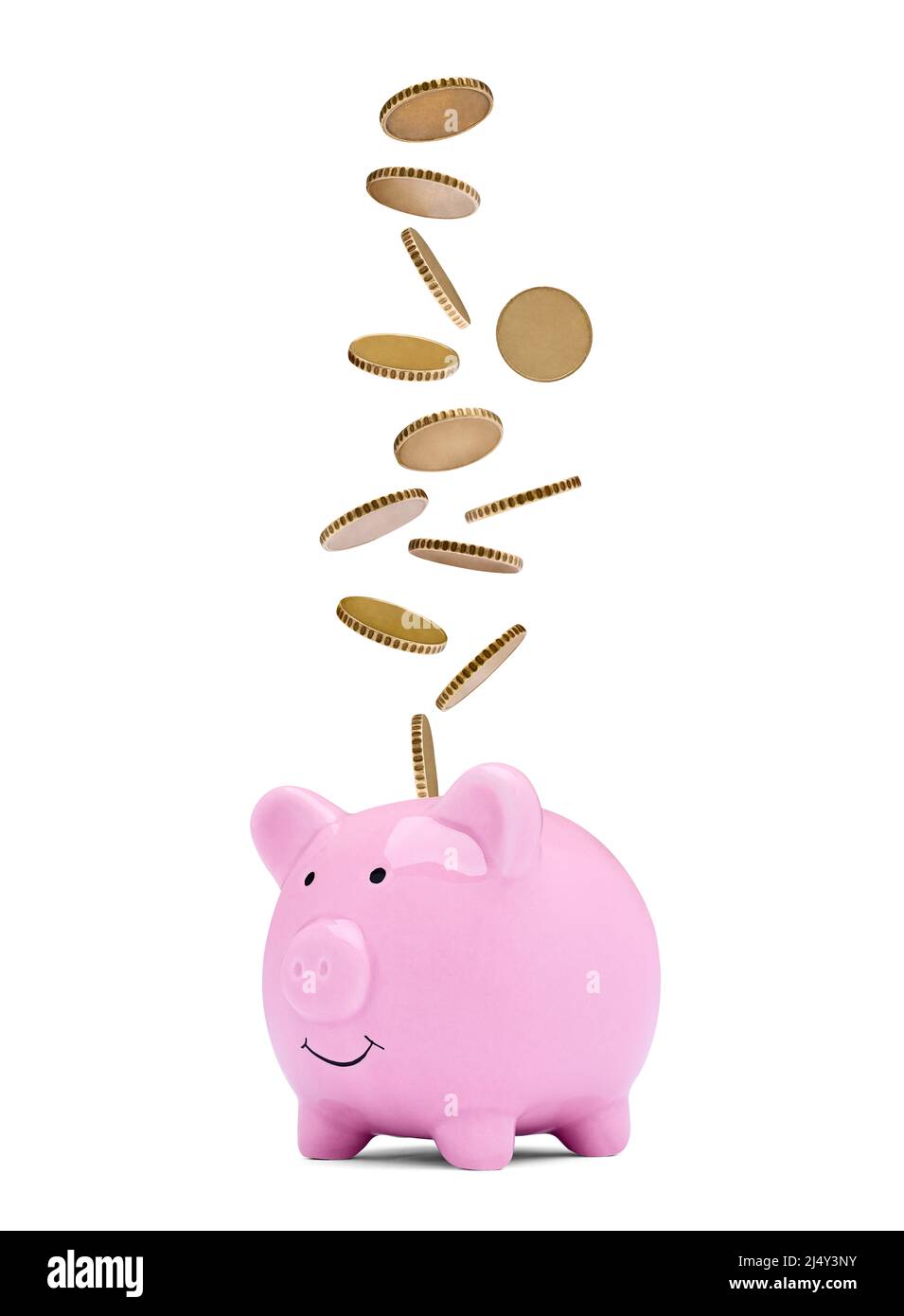 moneta finanza soldi di risparmio piggybank business investimenti bancari piggy banca maiale ricchezza Foto Stock