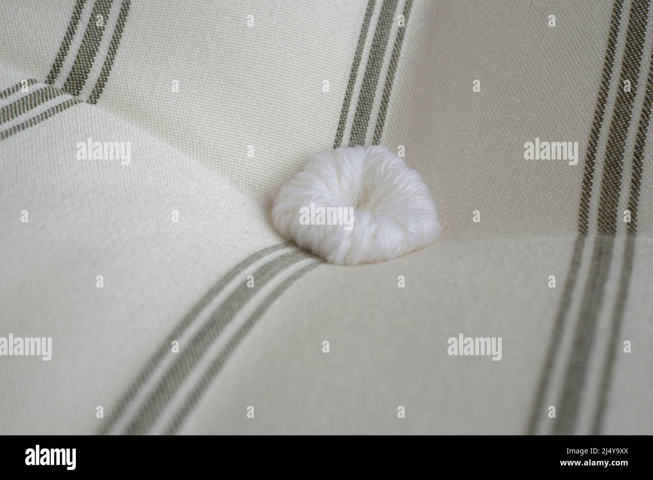 Tufting immagini e fotografie stock ad alta risoluzione - Alamy
