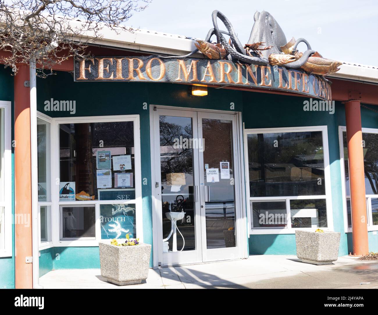 Feiro Marine Life Centre, a Port Angeles, Washington, USA. Foto Stock
