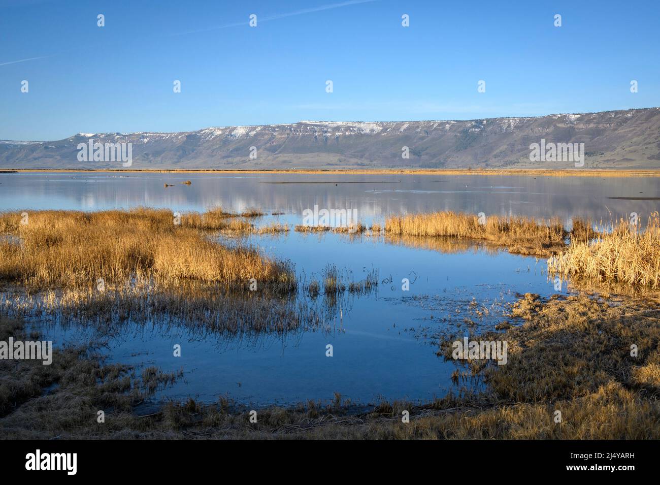 Summer Lake Wildlife Area e Winter Rim nel sud dell'Oregon. Foto Stock