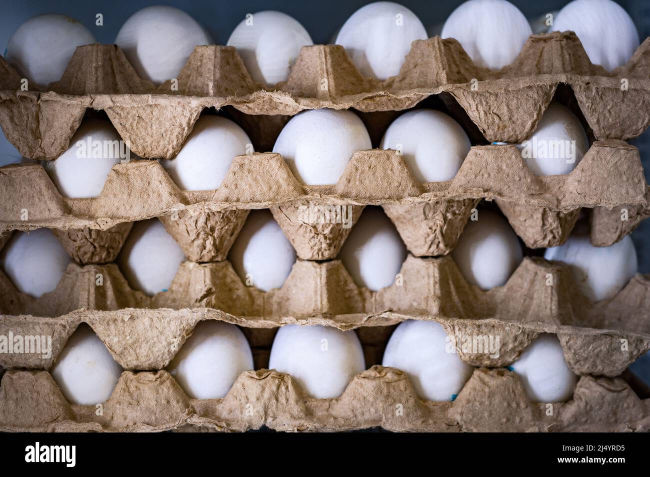uova di pollo in vassoi di cartone primo piano Foto Stock