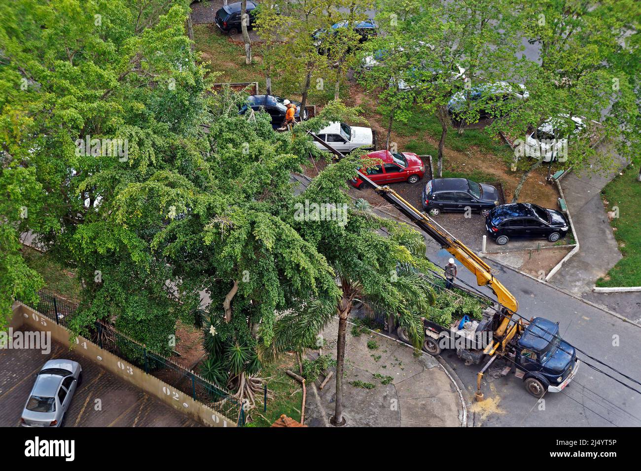RIO DE JANEIRO, BRASILE - 22 FEBBRAIO 2021: Operatore di servizio potatura rami di alberi su una piattaforma di un camion gru Foto Stock