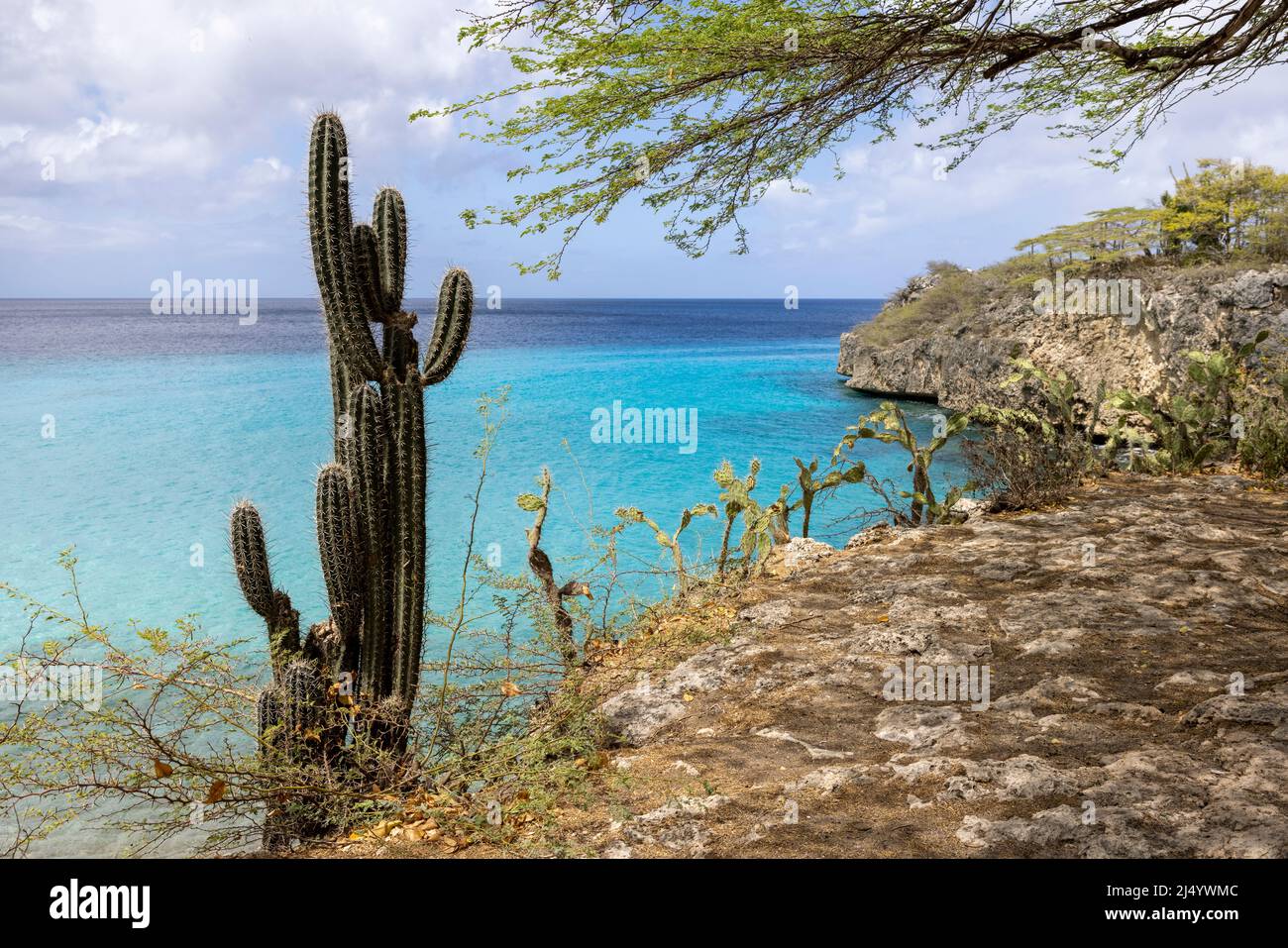 Vacanza a Playa Jeremi sull'isola caraibica di Curacao Foto Stock