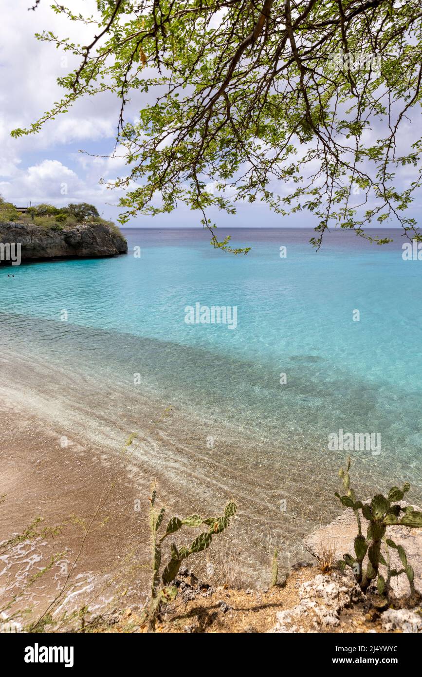 Vacanza a Playa Jeremi sull'isola caraibica di Curacao Foto Stock