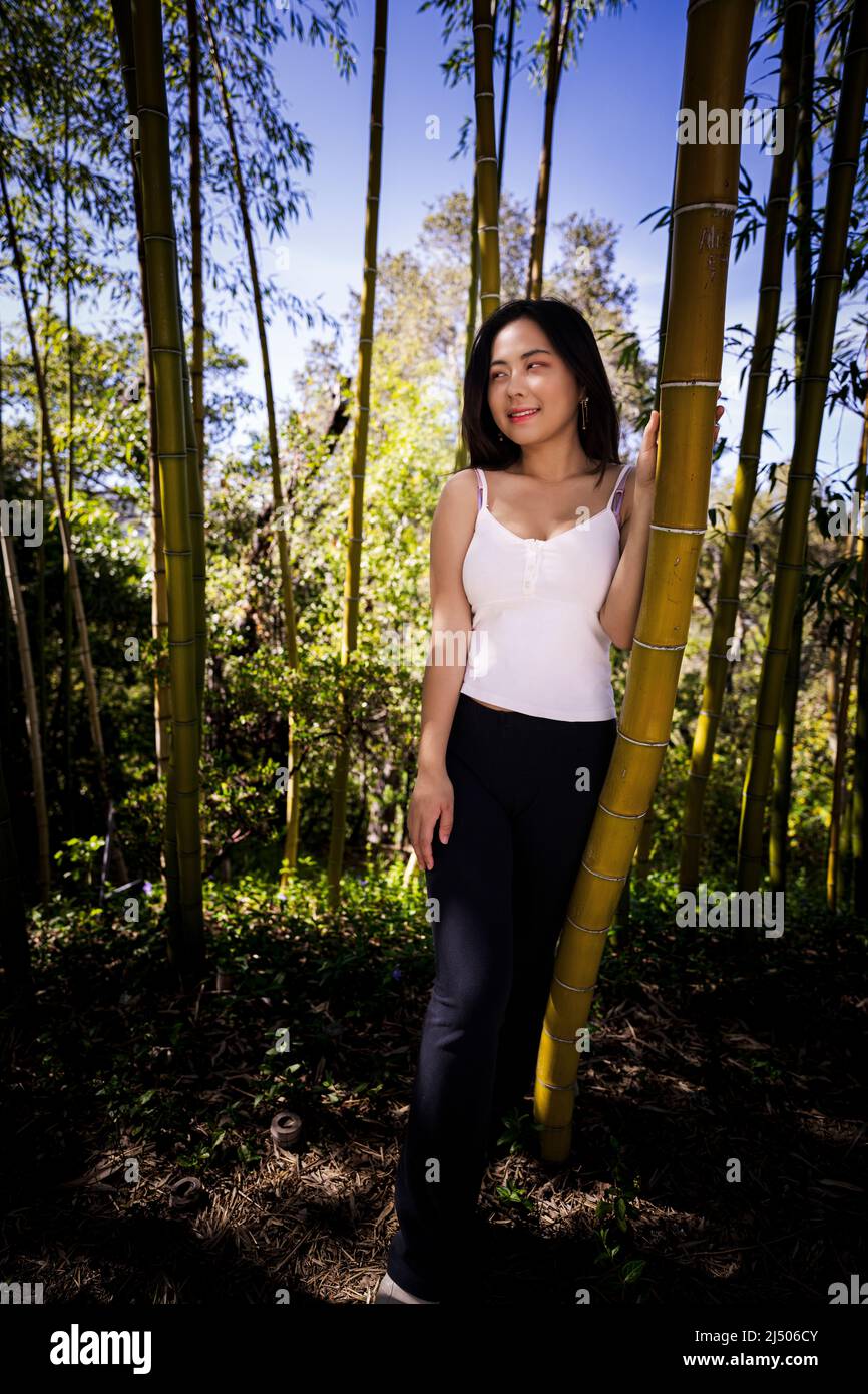 Giovane donna asiatica in casual abiti Springtime in piedi in un grande boschetto di bambù Foto Stock