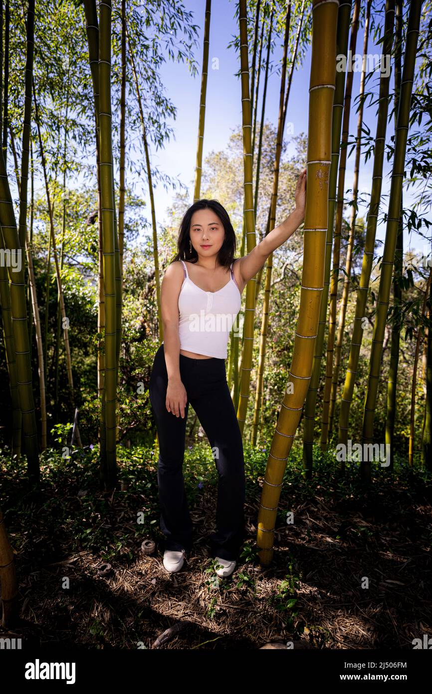 Giovane donna asiatica in casual abiti Springtime in piedi in un grande boschetto di bambù Foto Stock