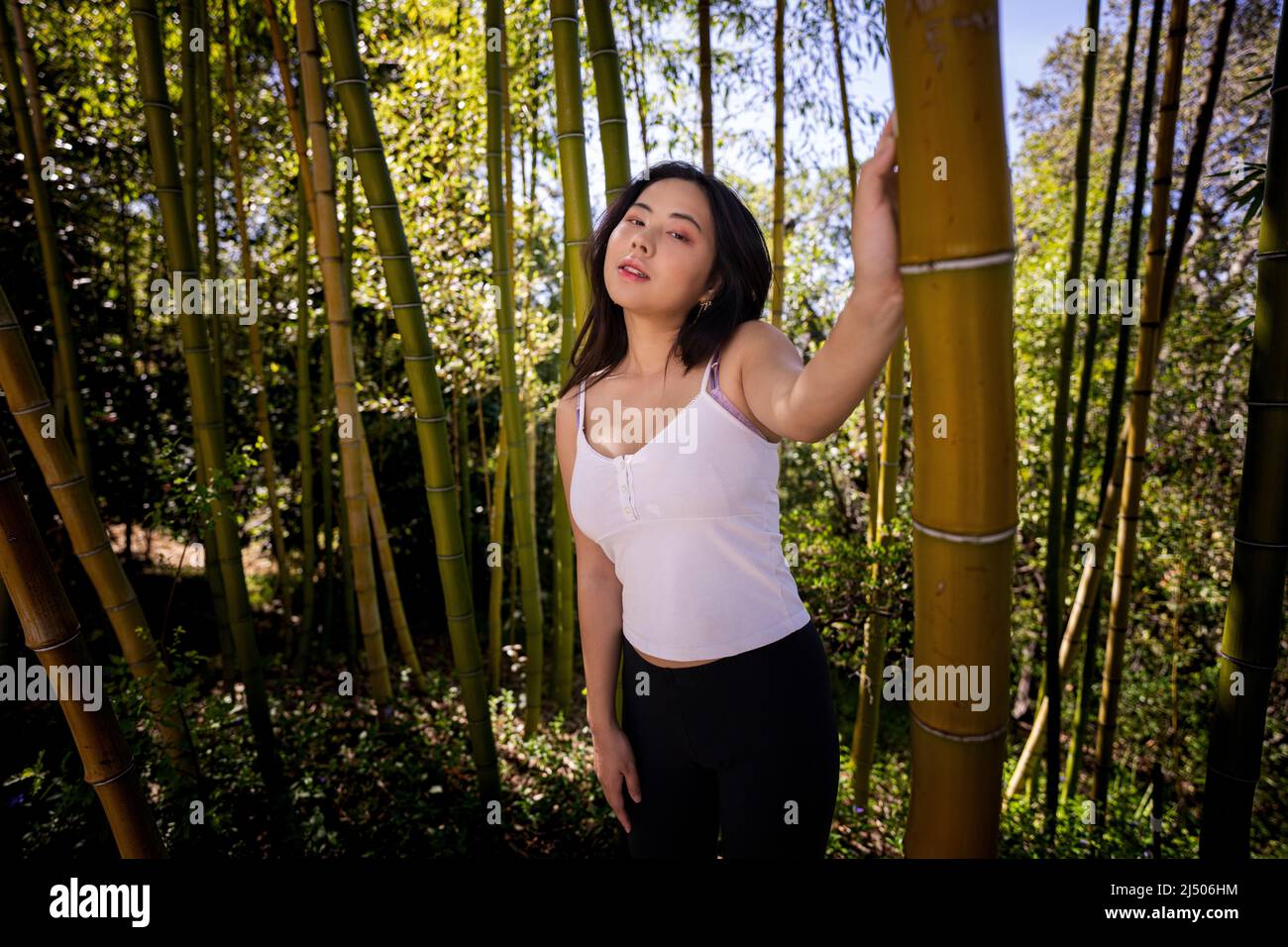 Giovane donna asiatica in casual abiti Springtime in piedi in un grande boschetto di bambù Foto Stock