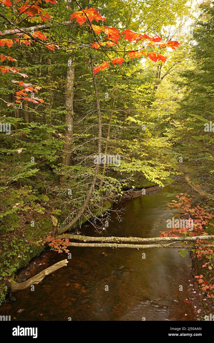 Il fiume Pisquid si snoda attraverso una riserva PEI centrale. Foto Stock