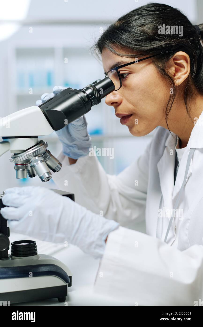 Giovane microbiologo o virologo femminile serio che usa il microscopio in laboratorio mentre fa la ricerca scientifica o esperimento Foto Stock