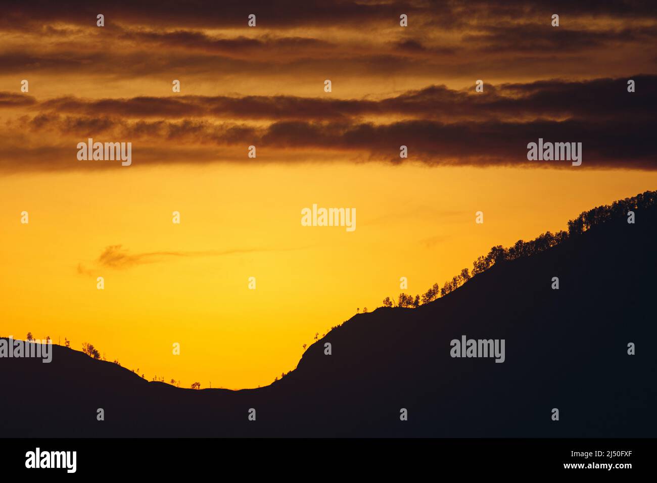 Silhouette di una montagna con alberi contro un tramonto giallo Foto Stock