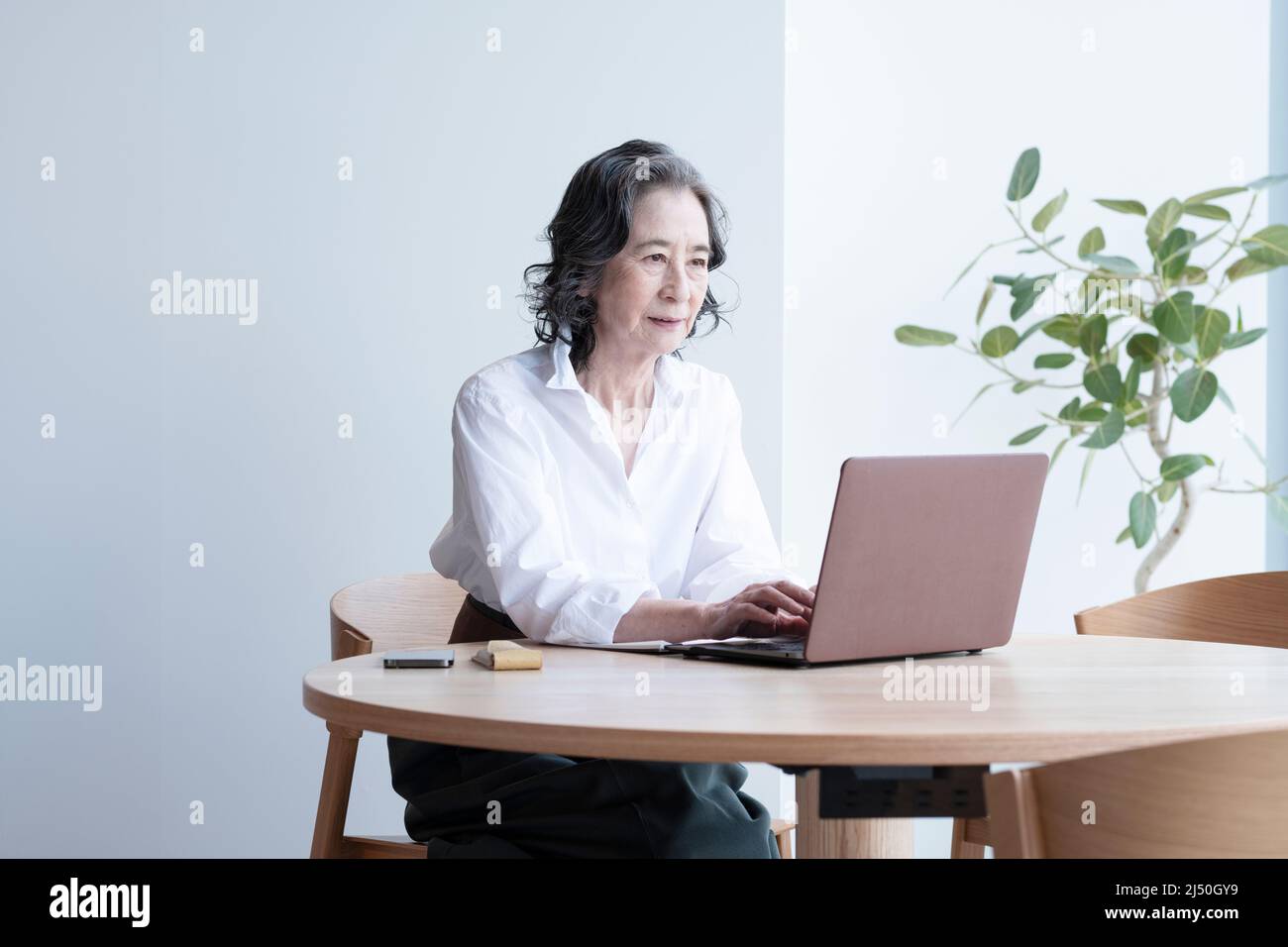 Donna d'affari che lavora al PC Foto Stock