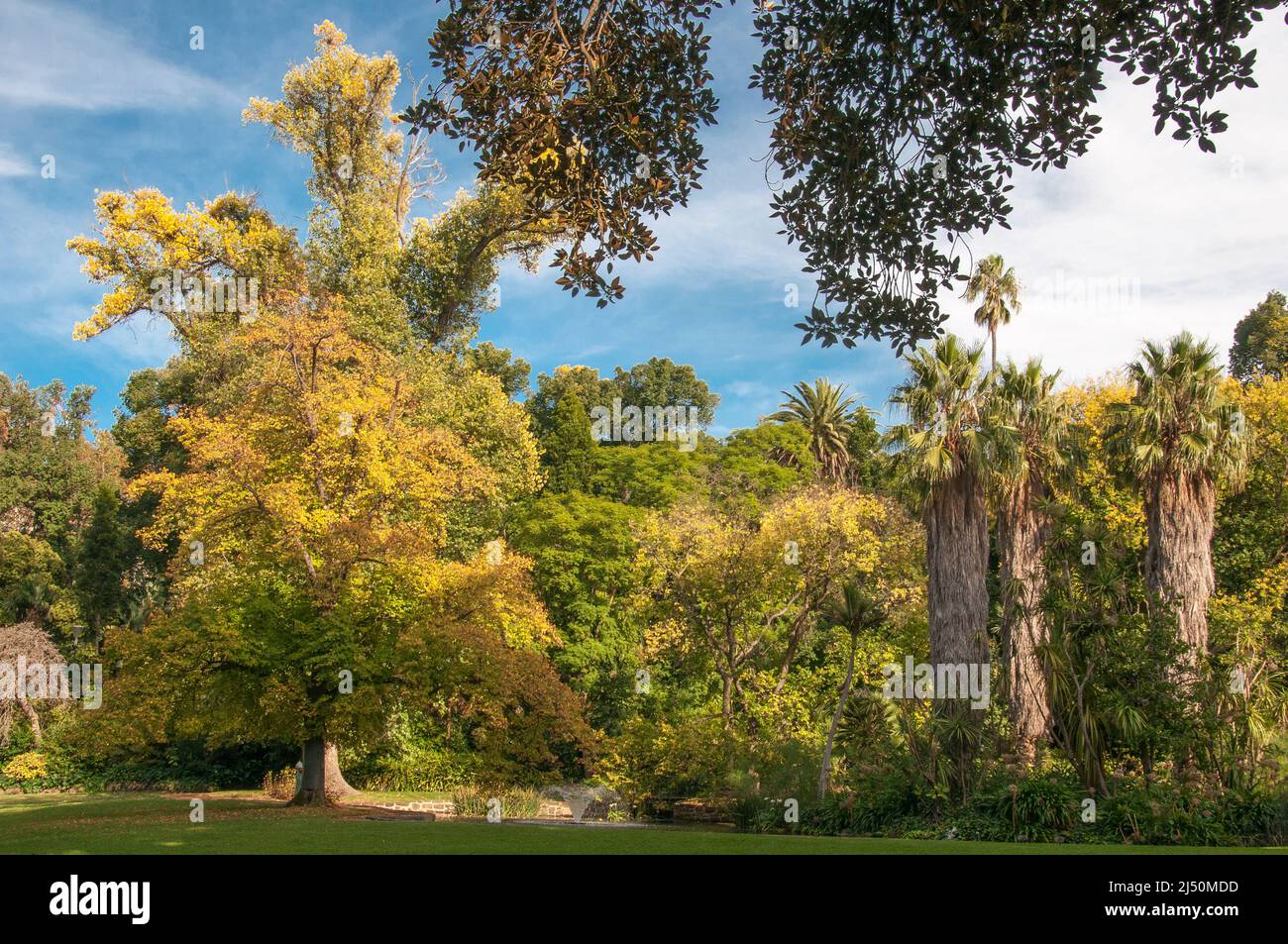 Fitzroy Gardens all'inizio dell'autunno 2022, Melbourne Foto Stock