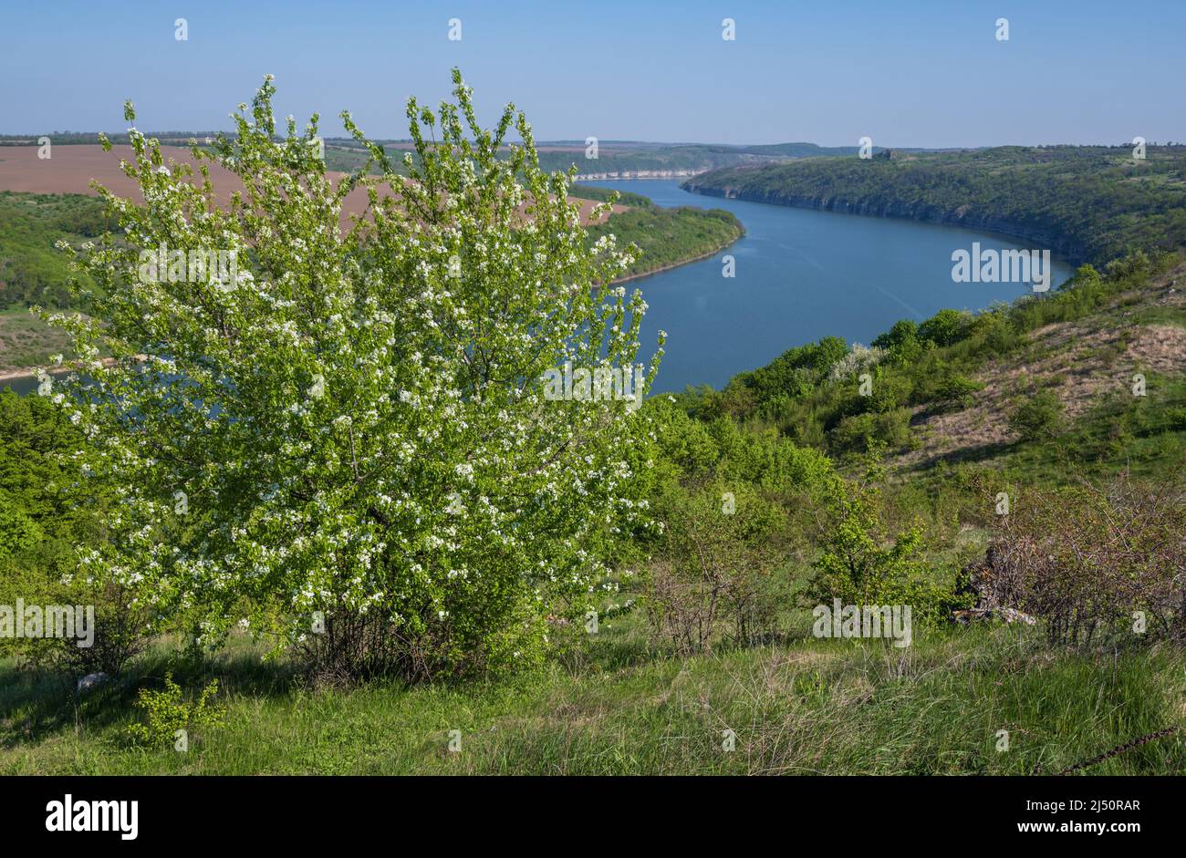 Splendida vista primaverile sul Dnister River Canyon con rocce pittoresche, campi, fiori. Questo luogo chiamato Shyshkovi Gorby, Nahoriany, Chernivtsi regi Foto Stock