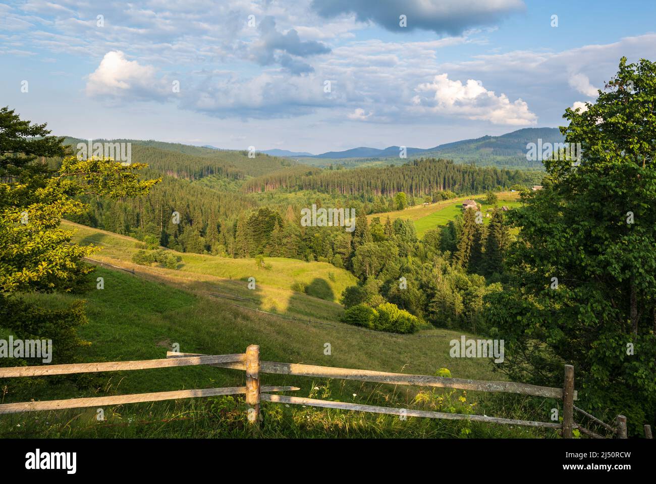 Pittoresca estate Carpazi montagna vista campagna, Ucraina Foto Stock