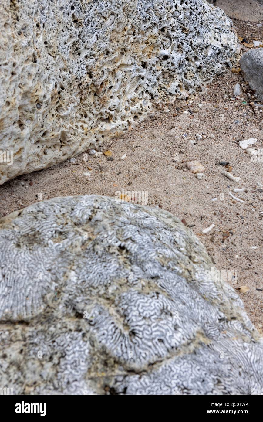 Roccia corallina sulle rive di Playa Jeremi sull'isola caraibica di Curacao Foto Stock