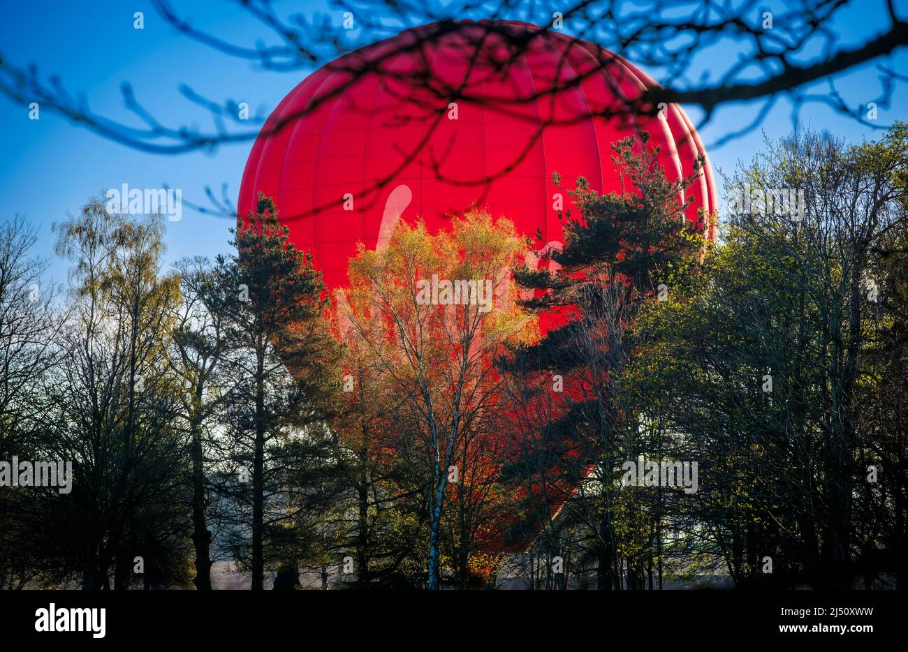 Su e via - volo in mongolfiera di prima mattina nel South Lanarkshire, Scozia Foto Stock