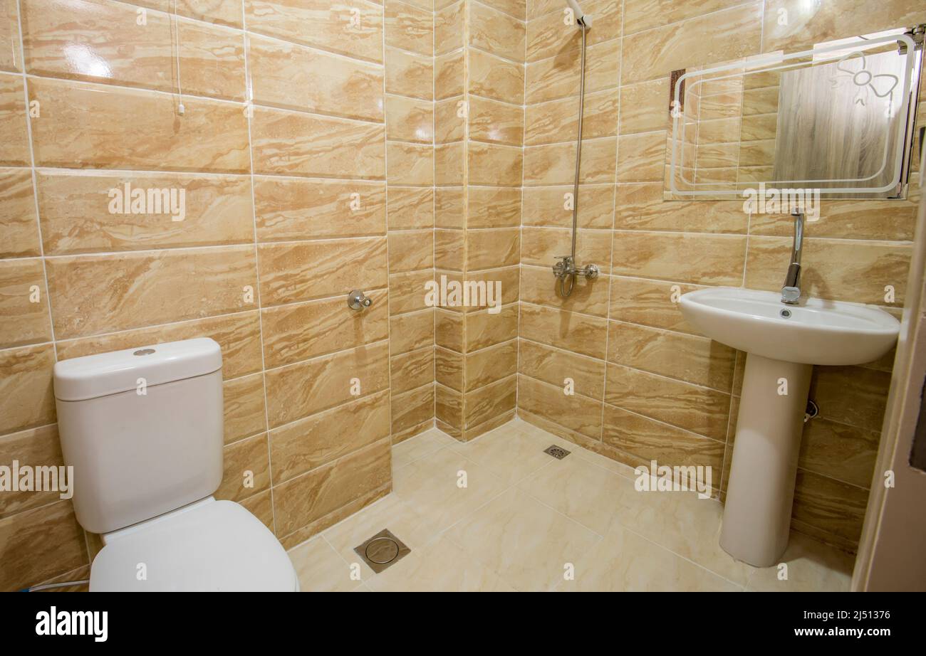 Design interno di un lussuoso bagno a vista con doccia e lavandino Foto Stock