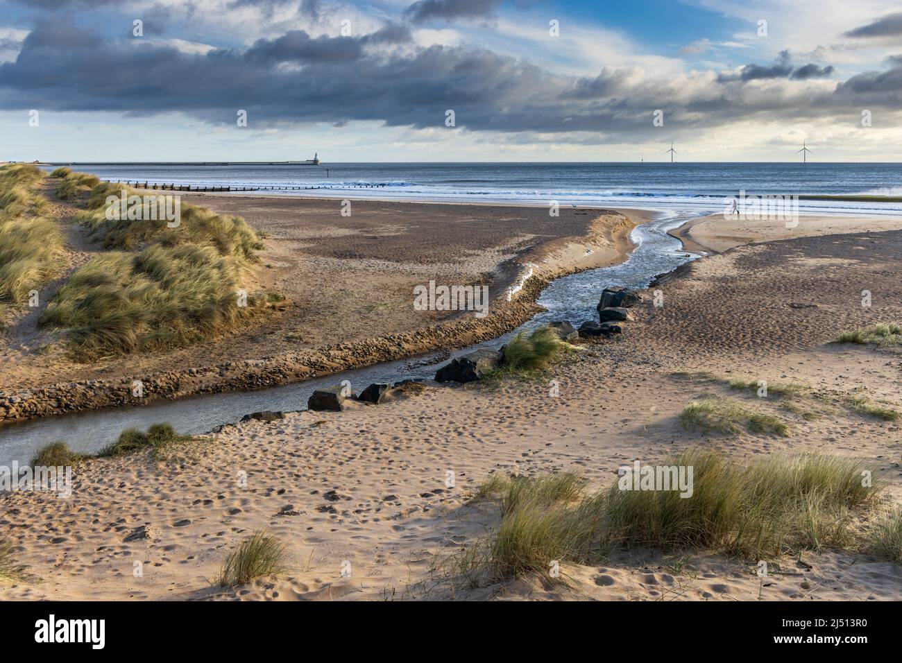 Le dune di sabbia e la lunga spiaggia di sabbia a Blyth, Northumberland. Il faro del porto di Blyth può essere visto in lontananza. Foto Stock