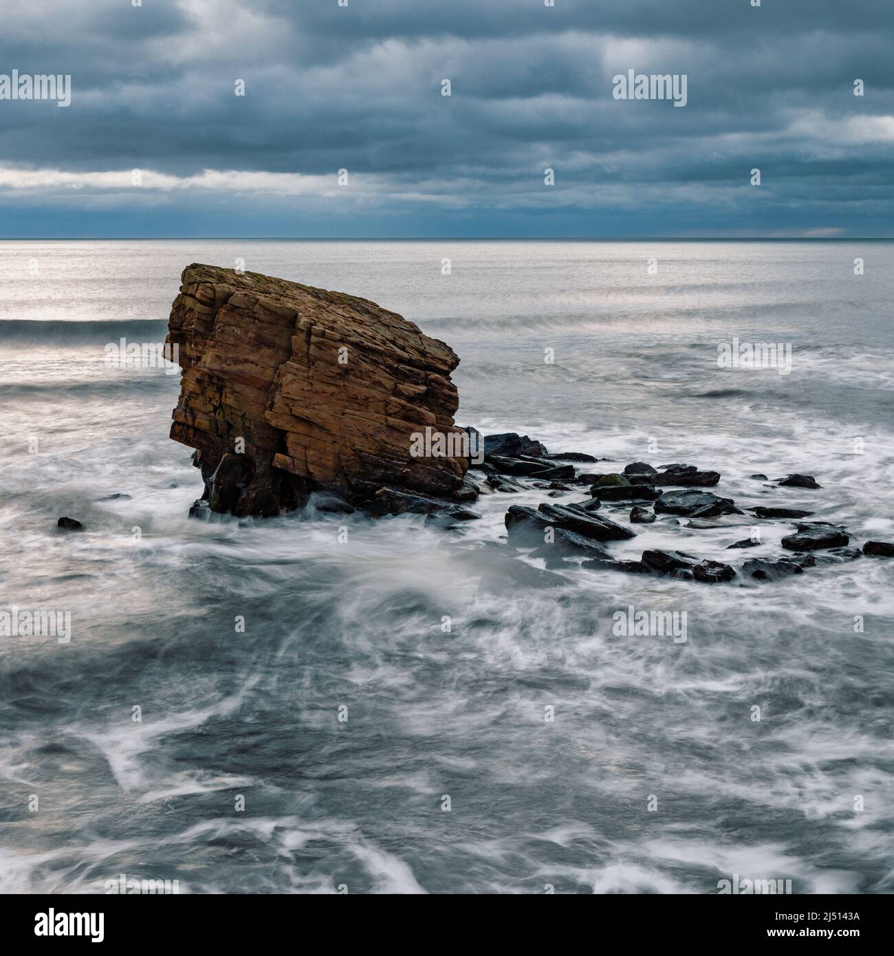 Il 'Charlie's Garden' è una catena di arenaria a Collywell Bay, Seaton Sluice, Northumberland, Regno Unito Foto Stock