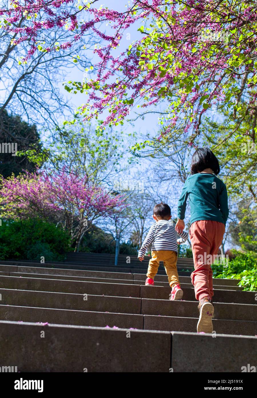 bambini che camminano sulla montagna di montjuic in primavera, barcellona, spagna Foto Stock