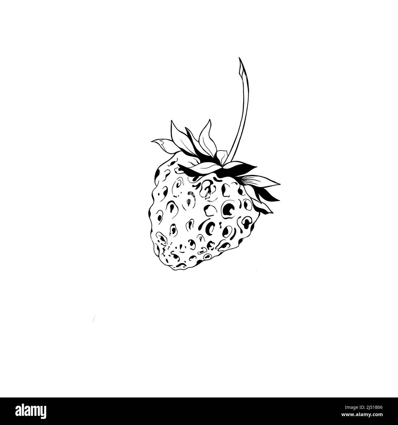 fragole disegno colorato - 5 schizzo di una fragola. fragole deliziose e succulente - frutta disegno isolato primo piano Foto stock - Alamy